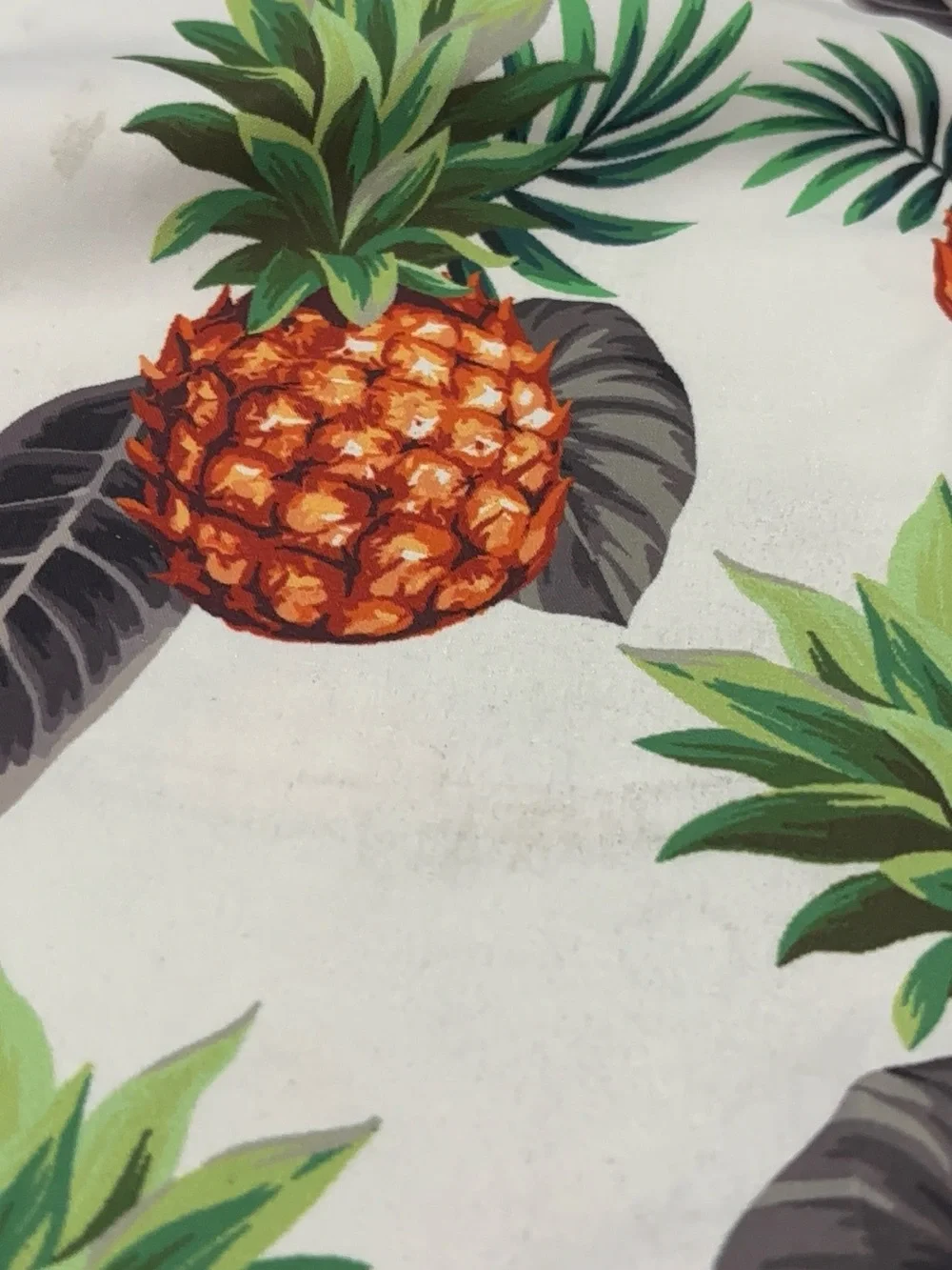 Pineapple Print Swim Shorts - White/Green